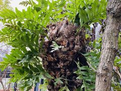 -悦哉·派对·草坪婚礼·围炉煮茶(三圣乡店)