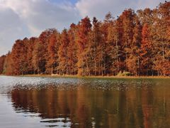 -上海海湾国家森林公园