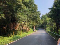 -南岳衡山风景名胜区