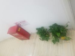 -余祖萍专业经络瘦身