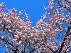 -黑龙江中医药大学