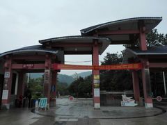 -九龙江国家森林公园