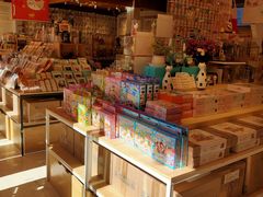 -猫的天空之城概念书店(丽江古城饮玉巷店)