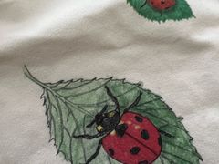 -上海昆虫博物馆