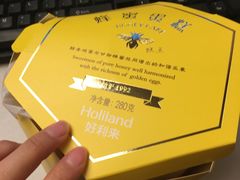 -蒲公英(五里店)