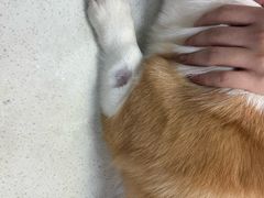 -联合动物医院(光谷诊疗中心)