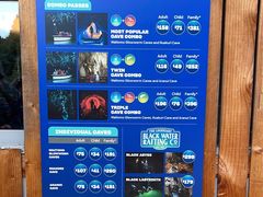 -怀托摩萤火虫洞