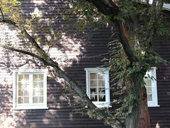 -三鹰之森吉卜力美术馆