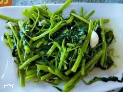 时令蔬菜-人民公社大食堂(谷埠街总店)