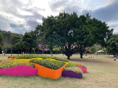 -莲花山公园