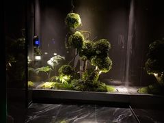 -唐宫足道·SPA·影院会馆(木渎店)