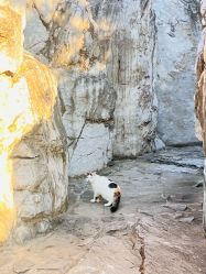 -北京郡王府饭店·宴会厅