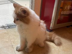 -逃脱反斗城沉浸剧情密室(北京路店)