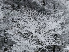 -硗碛藏寨·神木垒景区