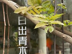 -日出青木