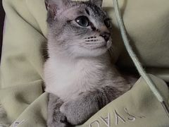 -联合动物医院(光谷诊疗中心)