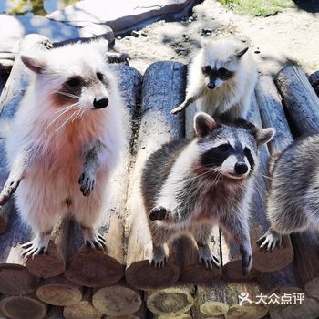在欧乐堡动物王国享受美好亲子时光