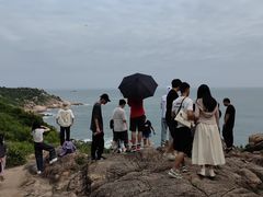-广东惠东海龟国家级自然保护区