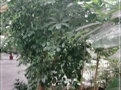-滕头生态酒店(奉化店)