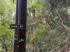 -杭州半山国家森林公园