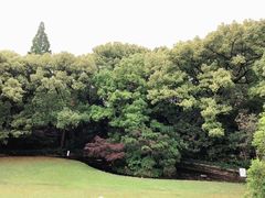 -上海市工艺美术博物馆