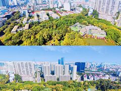 -常州天宁禅寺