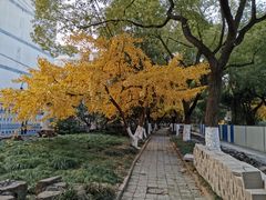 -天虹购物中心(石路店)