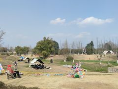 -桤木河湿地公园