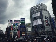 -涩谷区