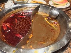 -懂食汇自助火锅