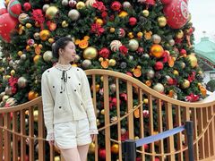 -迪士尼小镇