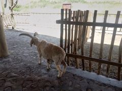 -水洞沟旅游区