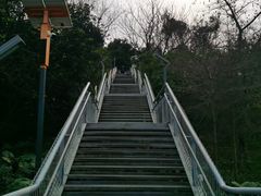 -佛山华盖山公园