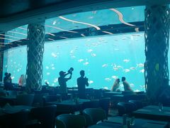 -瑞德姆美人鱼海底演艺主题餐厅(亚龙湾店)