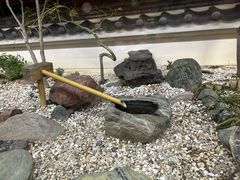 -札幌かに本家(福岡那の川店)