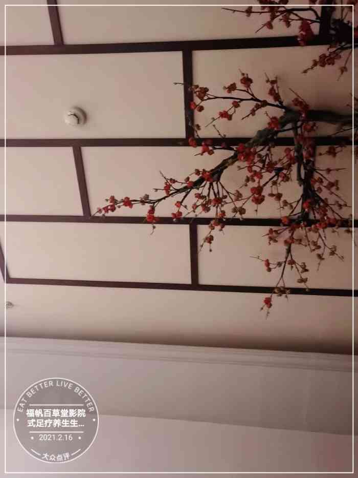 福帆百草堂影院式足疗养生生活馆-"这家店在银川也有几年了,但是环境