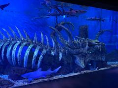 -波塞冬旅游度假区