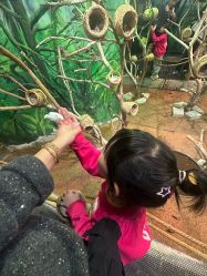 -Zoolung Zoolung动物主题公园(海信广场店)