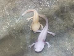 -青青世界