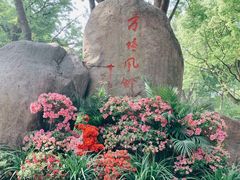 -上海方塔园