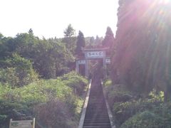 -江西阳明山国家森林公园