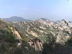 -闻道食府烙饼卷带鱼(原车耳营店原大觉寺店)