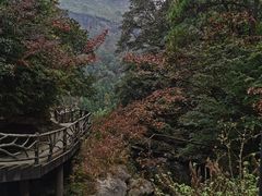 -黄檀硐景区