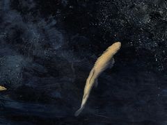 -水磨沟公园