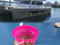 -巧克力渔家.小船海鲜家常菜(万平口店)