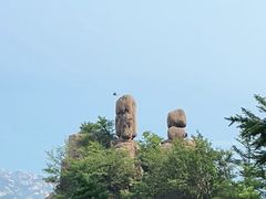 -崂山巨峰游览区