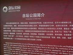 -大兴滨河森林公园
