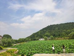 -龙寺生态园
