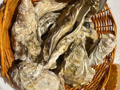 -九府羊·鲜羊火锅·烤串(新华路店)