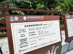 -西双版纳原始森林公园